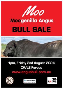 2024 Moogenilla Angus Sale Catalogue