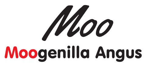 Moogenilla Angus - Condobolin, NSW